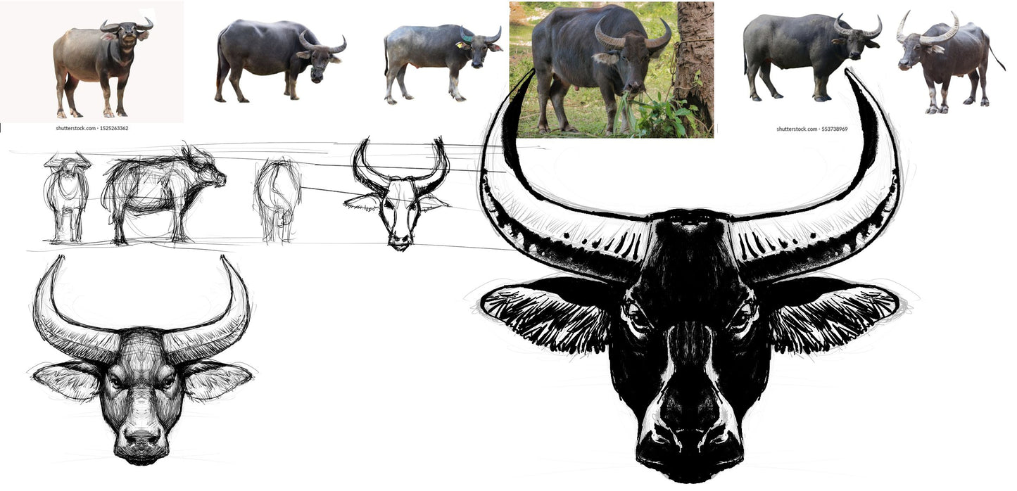 Branding Designs