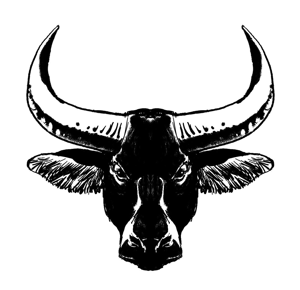 Branding Designs
