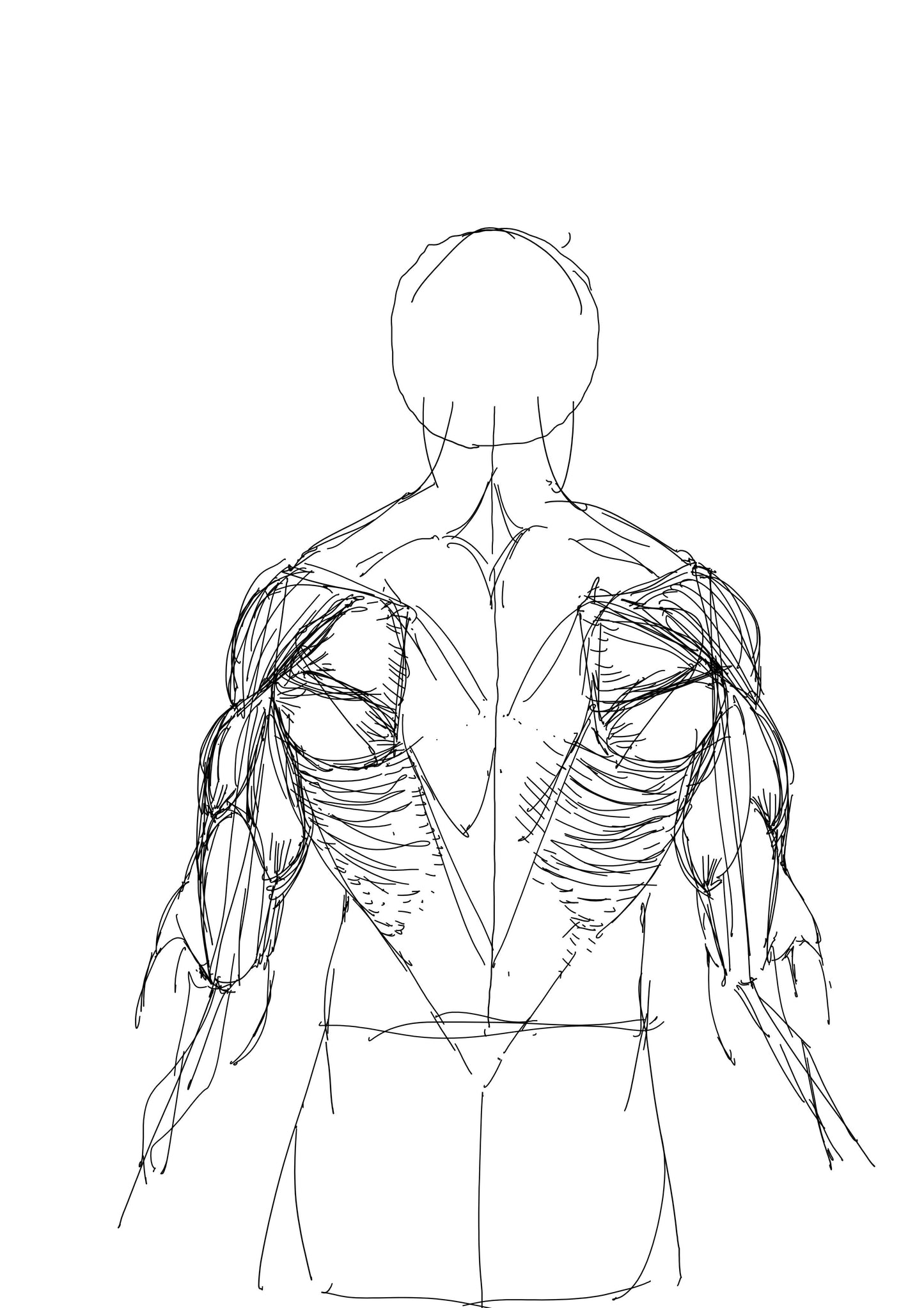 Rough Sketch